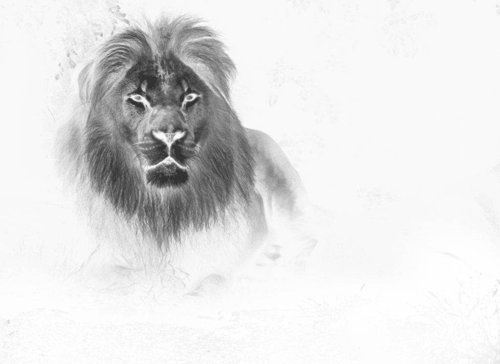 Prosperity Games Lion